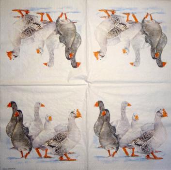 139 Ducks - 3-ply
